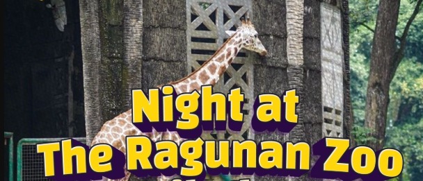Pembukaan wisata malam di Taman Margasatwa Ragunan, Jakarta Selatan, menuai antusiasme besar dari masyarakat. (X@DKIJakarta)